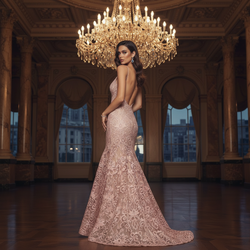 Blush Pink Lace Mermaid Gown
